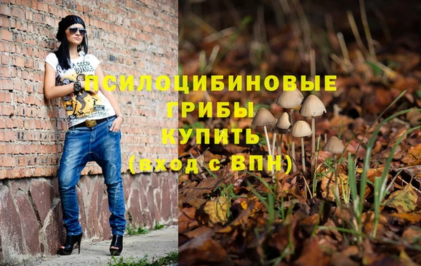 соль ск Верея