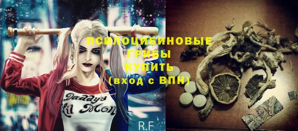 соль ск Верея