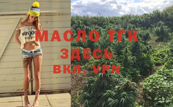 стафф Верхний Тагил