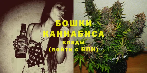 стафф Верхний Тагил