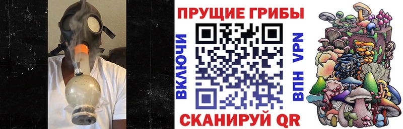 Галлюциногенные грибы ЛСД  где можно купить   Старица 