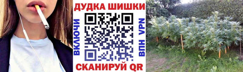 нарко площадка клад  продажа наркотиков  кракен ссылки  Старица  Марихуана Bruce Banner 